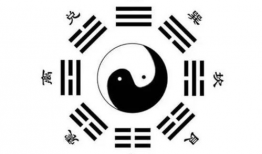 高官八卦,高官八卦背后的权力博弈