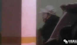 猪头吃瓜娱乐圈,娱乐圈幕后风云揭秘