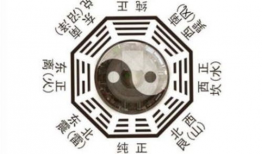 高官八卦,高官八卦背后的权力博弈