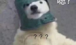 羊了个羊吃瓜娱乐,吃瓜娱乐背后的网络狂欢