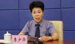 李少华演员个人资料,影视界璀璨星辰，多才多艺的演员风采