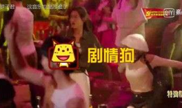 特勤精英全部背景音乐,激昂旋律下的忠诚守护