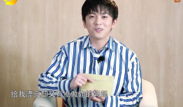 综艺明星工资,揭秘明星背后的惊人收入