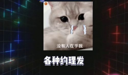 吃瓜娱乐圈爆料