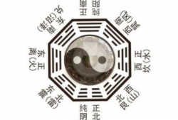 高官八卦,高官八卦背后的权力博弈