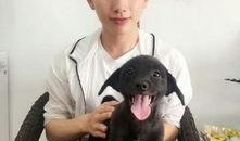 steven oo个人资料,才华横溢的创业家与慈善家