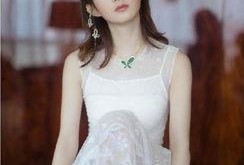 赵丽颖庭背景,从农村女孩到影视巨星，她的奋斗之路