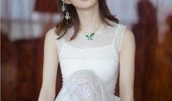 赵丽颖庭背景,从农村女孩到影视巨星，她的奋斗之路