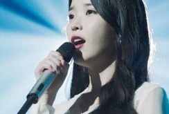 李知恩个人资料,韩国流行天后，多才多艺的青春偶像