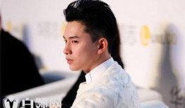 steven oo个人资料,才华横溢的创业家与慈善家