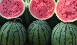 吃瓜网免费官网免费,畅享海量资讯，轻松获取免费福利