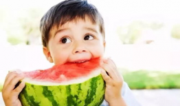 娱乐吃瓜酱出去玩,娱乐吃瓜酱带你畅游欢乐时光